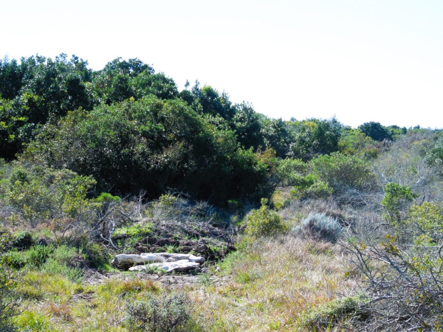 0 Bedroom Property for Sale in Paradise Beach Eastern Cape